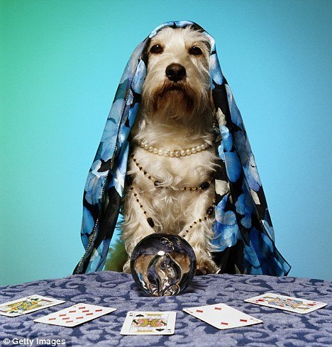 dog fortune teller