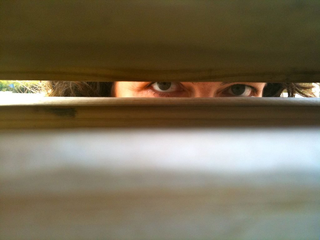 looking through fence